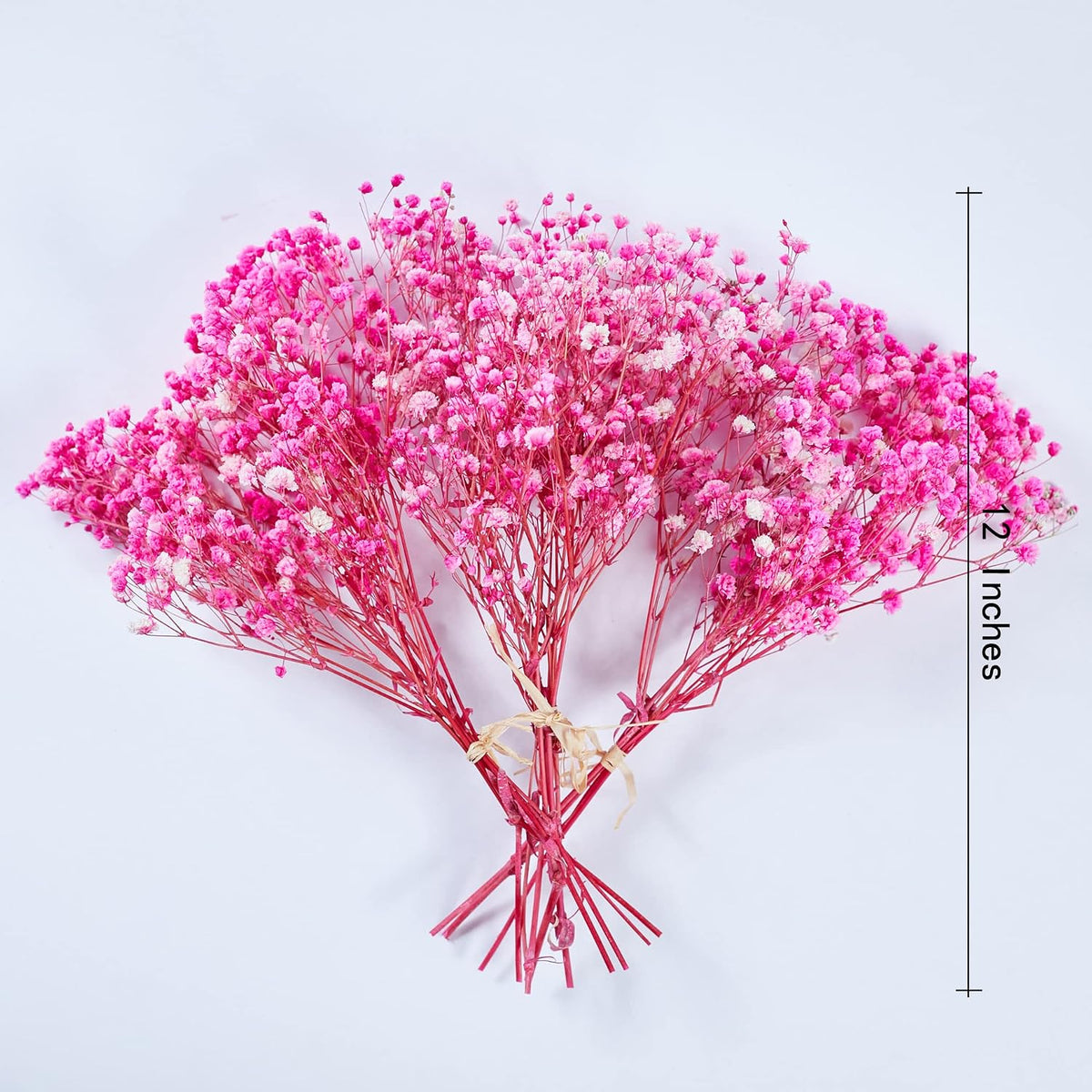 Preserved Baby's Breath 3 Bunches, 100% Natrual Fresh Gypsophila Long Lasting Flowers for Vase Arrangements Home Decoration Photo Props Parties and Weddings, DIY Décor-Pink