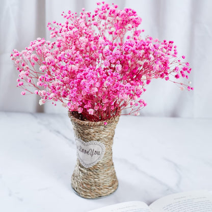 Preserved Baby's Breath 3 Bunches, 100% Natrual Fresh Gypsophila Long Lasting Flowers for Vase Arrangements Home Decoration Photo Props Parties and Weddings, DIY Décor-Pink