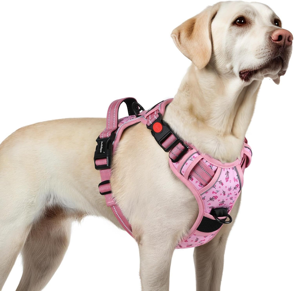Dog Harness for Large, Updated Easy On & Off with 3 Buckles