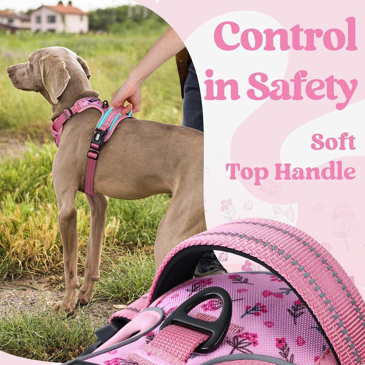 Dog Harness for Large, Updated Easy On & Off with 3 Buckles