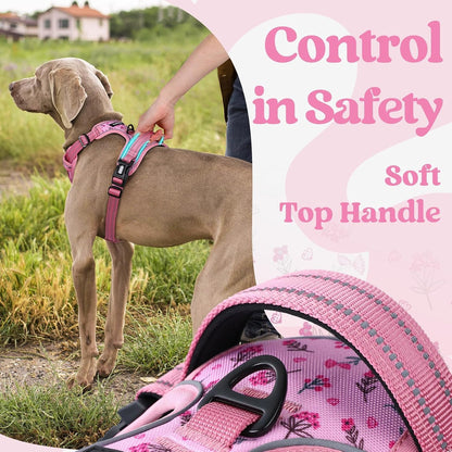 Dog Harness for Large, Updated Easy On & Off with 3 Buckles
