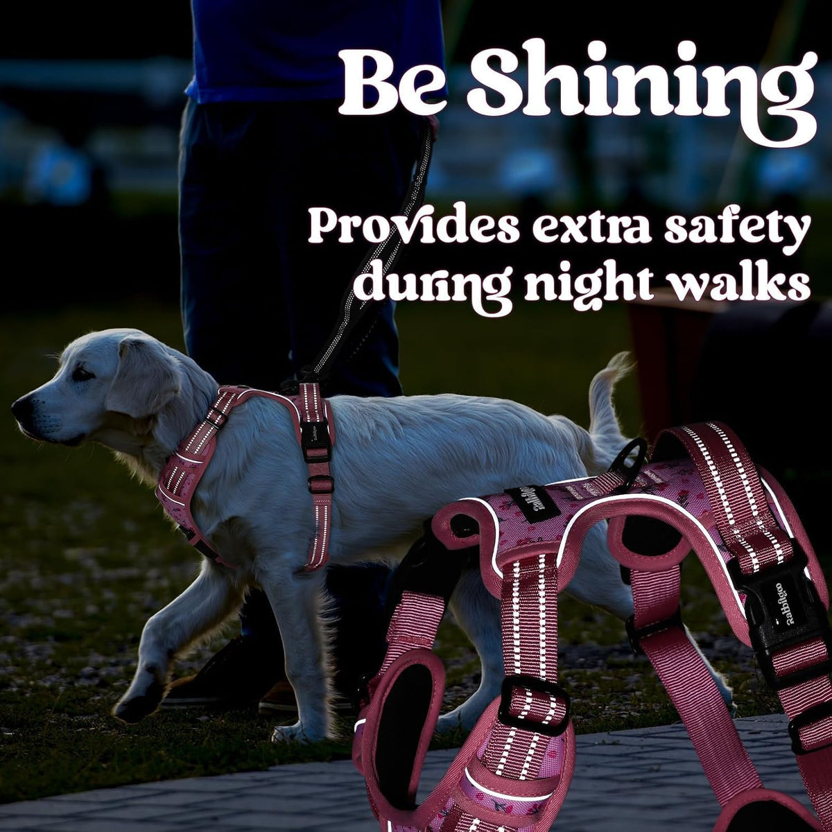 Dog Harness for Large, Updated Easy On & Off with 3 Buckles