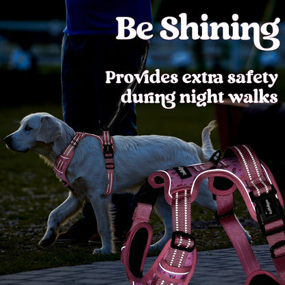 Dog Harness for Large, Updated Easy On & Off with 3 Buckles