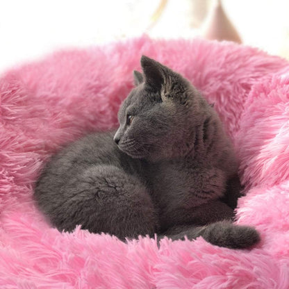 Modern Soft Plush Round Pet Bed for Cats or Small Dogs, Mini Medium Sized Dog Cat Bed Self Warming Autumn Winter Indoor Snooze Sleeping Cozy Kitty Teddy Kennel (20'' D x 8'' H, Hot Pink)