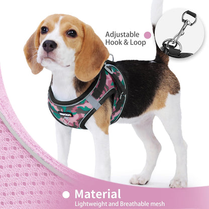 Step in Dog Harness with Leash Set, Adjustable Soft Padded and Breathable Mesh for Small Sized Dog, Reflective No Pull No Choke Cat Vest Harness, Easy Control Pet Vest, Pink L