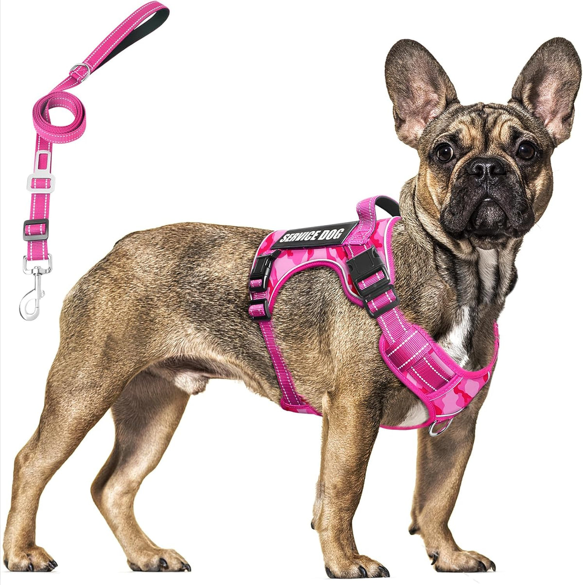 Tactical Dog Harness and Leash Set with 10 Patches for Large Dogs