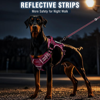 Tactical Dog Harness and Leash Set with 10 Patches for Large Dogs