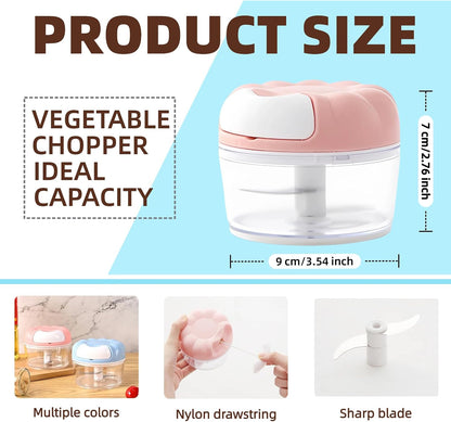 Mini Manual Food Processor Vegetable Chopper,Portable Hand Pull String Onion Chopper for Veggies, Fruits, Garlic, Nuts, Herbs, Ice cube,Cooking Gadgets & Kitchen Essentials,160ml (Pink)