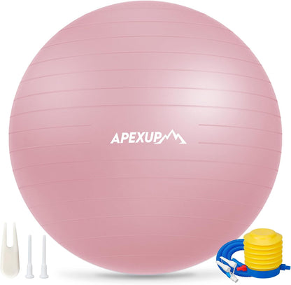 Yoga Ball, 660 lbs Anti-Burst Exercise Ball with Pump, 5 Sizes