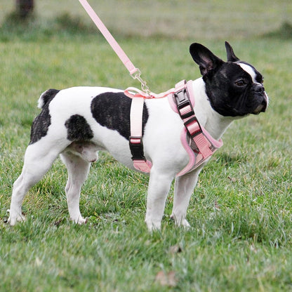 PUPTECK Soft Mesh Dog Harness and Leash Set Pet Puppy Cat Adjustable Reflective Padded Vest No Pull Harnesses, Pink, S