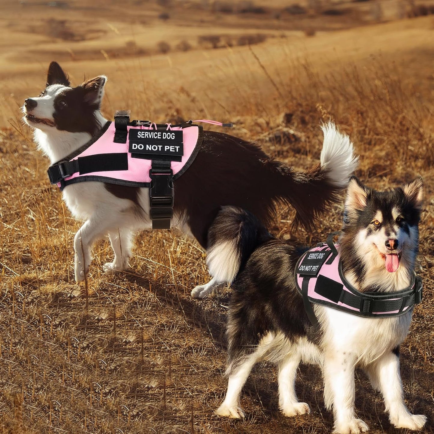 No Pull Dog Harness Small Medium Sized Dog, Service Dog Harness and Leash Set with 4 Patches, Adjustable Easy Walk Dogs Harnesses with Handle, Dogs Vest Harnesses French Bulldog, Chihuahua(Pink, S)