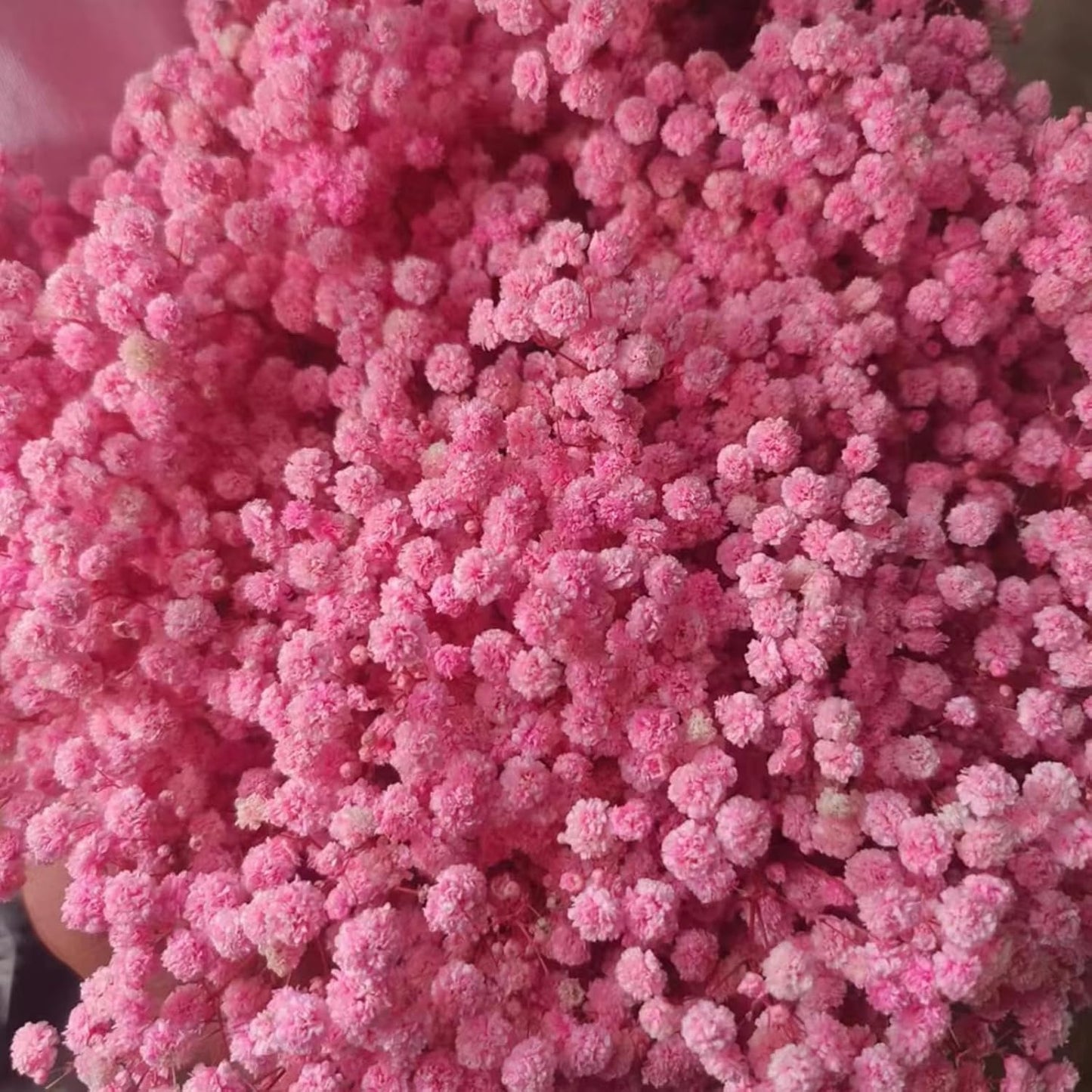 Dried Babys Breath Bulk Natural Dried Gypsophila Flowers Pink Babys Breath Stems for Home Decor, Weddings, Crafts