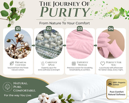 Royale Linens 100% Cotton Pillow Cases Standard Size Set of 2 - Percale Pillowcase - Pink Pillow Cases Super Soft Cooling & Breathable Hotel Cotton Pillowcases, Fits Standard Pillows (20"x26", Pink)