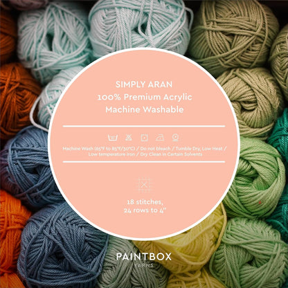 Paintbox Aran Yarn - Acrylic Yarn - 201yds (184m)/100g (3.53oz) - Peach Orange Acrylic Knitting Wool for Crochet - Soft & Durable - Heavy Worsted - Great for Jumpers, Cardigans & Crafts, Clothes