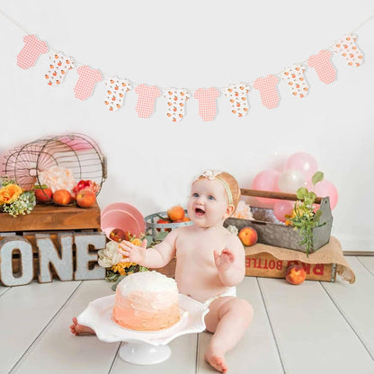 Peach Baby Shower Bodysuit Banner - Peach Party Birthday Decor,Girl Fruit Baby Shower Banner,Pink Gingham Party garland(peach)