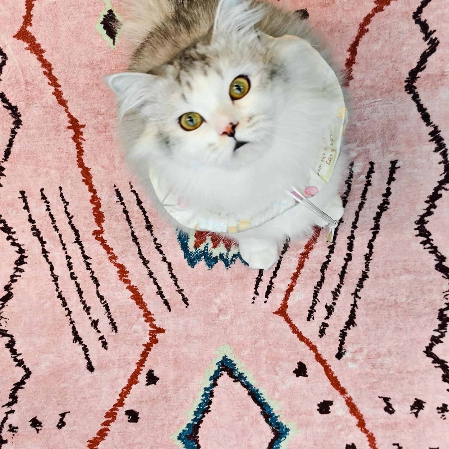 jinchan 5x7 Area Rug Pink Washable Modern Boho Rug Geometric Hot Nerd Floor Rug Soft Low Pile Floor Cover Non Slip Accent Mat Lightweight Cozy Carpet for Living Room Bedroom Dining Room Study Dorm