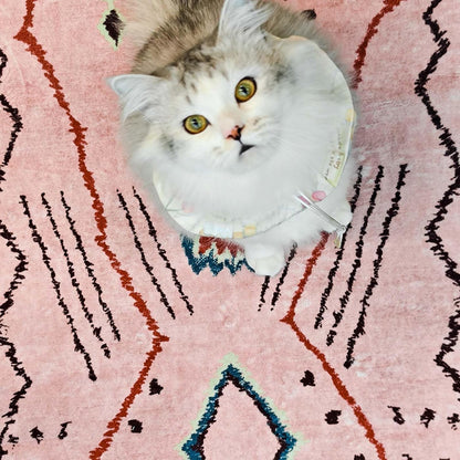 jinchan 5x7 Area Rug Pink Washable Modern Boho Rug Geometric Hot Nerd Floor Rug Soft Low Pile Floor Cover Non Slip Accent Mat Lightweight Cozy Carpet for Living Room Bedroom Dining Room Study Dorm