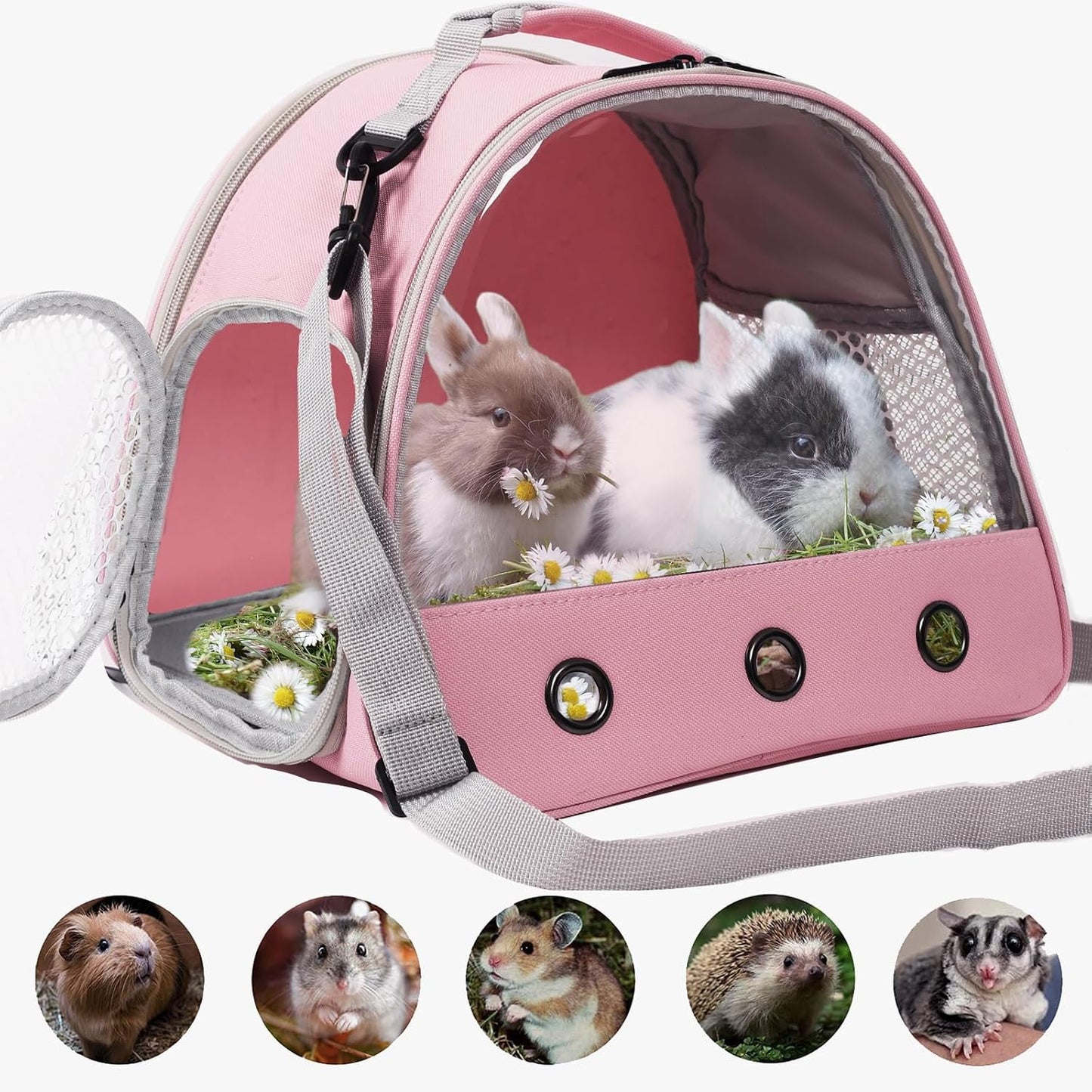 Bearded Dragon Carrier,Lizards Cage,Hamster Outdoor Used,Small Animal Travel Carrier for Sugar Glider Hedgehog Rat Parrot Bird Guinea Pig, Portable Guinea Pig Travel Carrier for Two