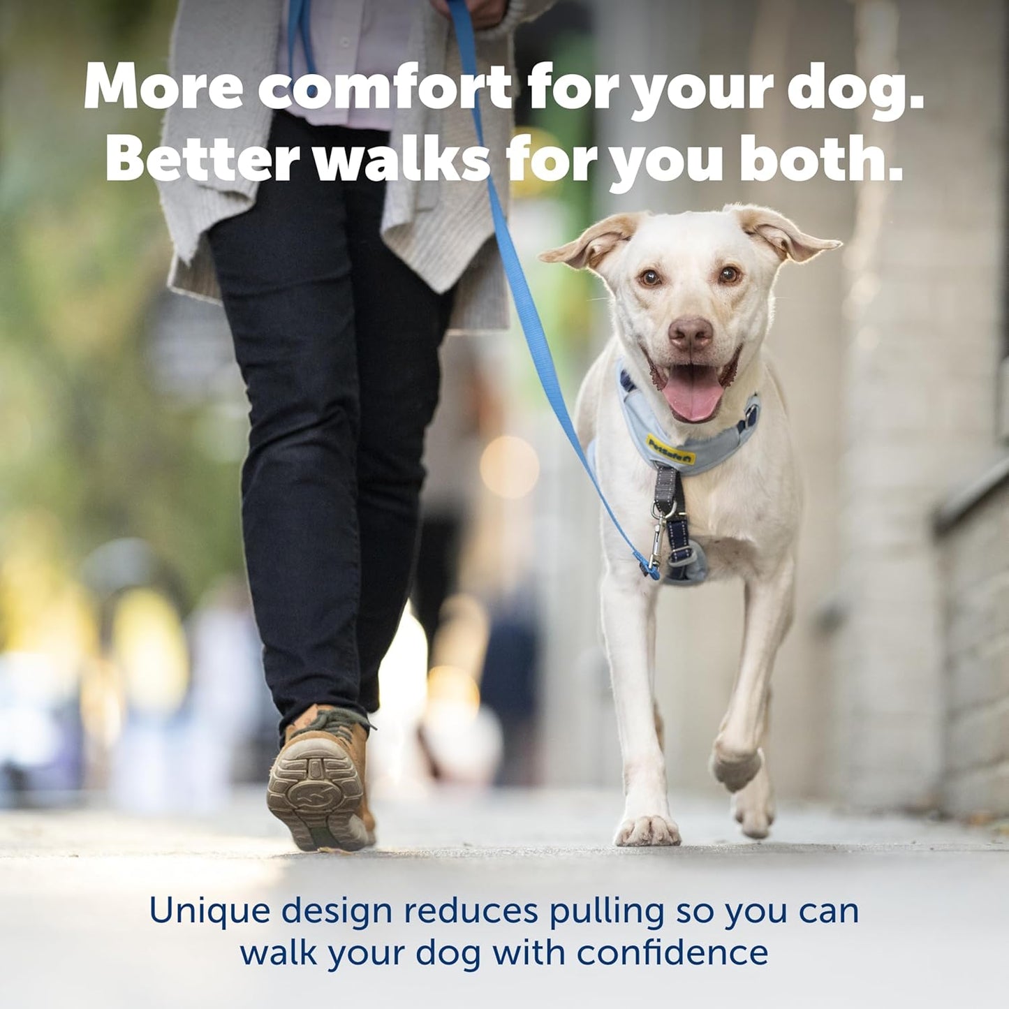 PetSafe Easy Walk Comfort No-Pull Dog Harness Full-Body Padding - Better Walks on the First Use - 5 Points of Adjustment Small, Pink