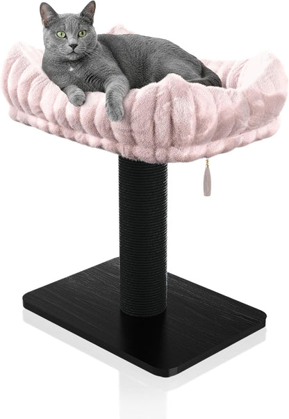 Modern Scratching Post for Indoor Cats - 15” High Cat Scratching Post with Bed Breeds - 15.7” x 11.6” Removable & Washable Cushion (Black Post with Pink Bed)