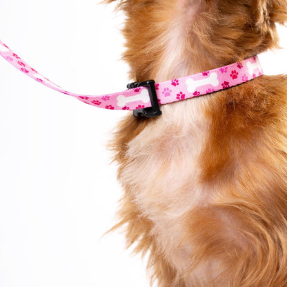 Country Brook Petz - Pink Oh My Dog Grooming Loop with Quick Release Buckle Featuring Unique Designs for Any Style (5/8 Inch)