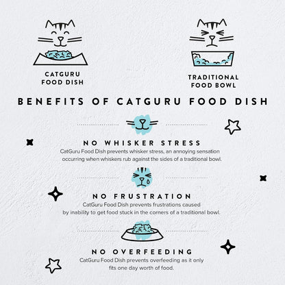 CatGuru Cat Bowls, Whisker Friendly Food Bowl for Indoor Cats, Reliefs Whisker Fatigue, Wide Kitten Dish, Non Slip Pet Dishes, Shallow Pet Plates (Pink, (Pack of 2))