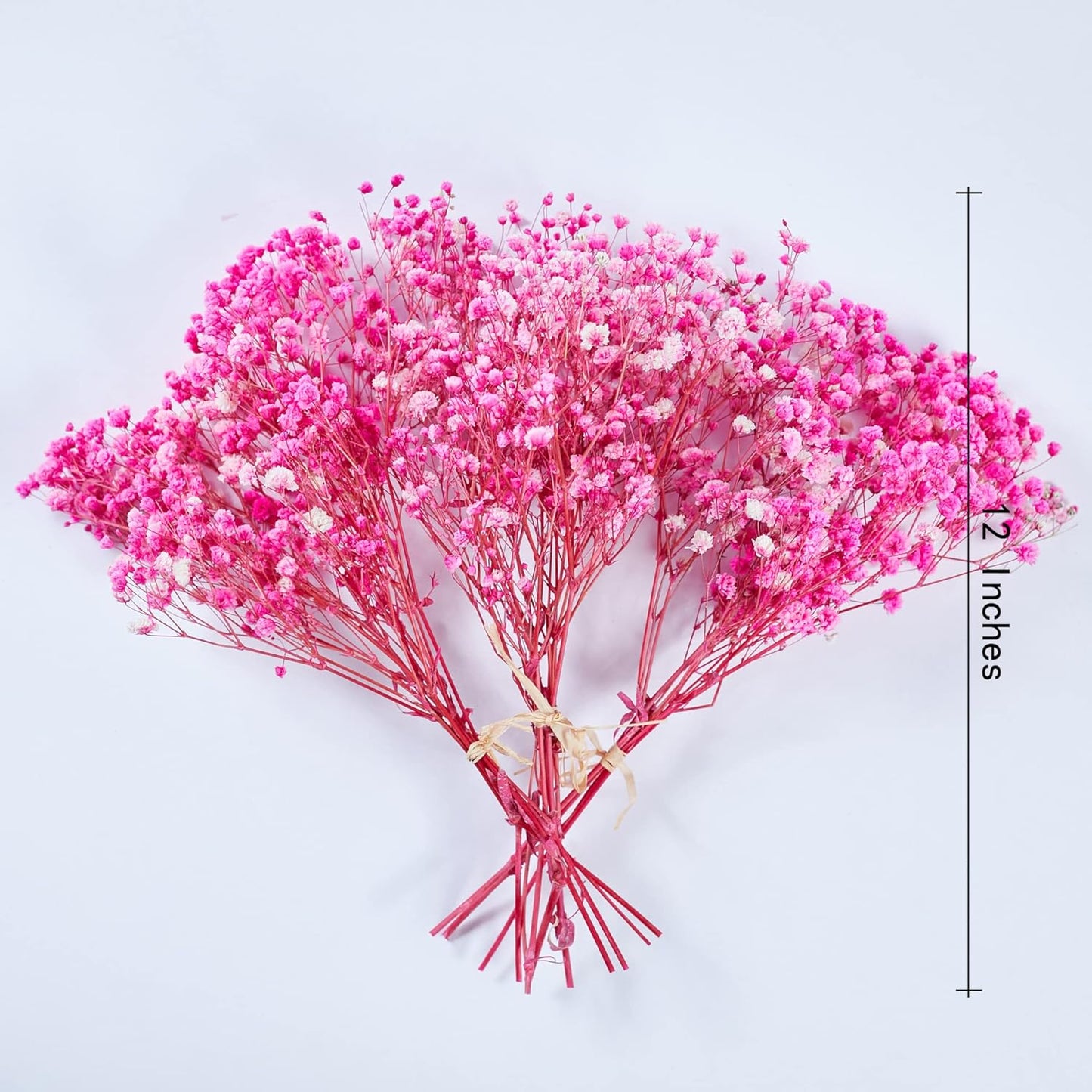 Preserved Baby's Breath 3 Bunches, 100% Natrual Fresh Gypsophila Long Lasting Flowers for Vase Arrangements Home Decoration Photo Props Parties and Weddings, DIY Décor-Pink