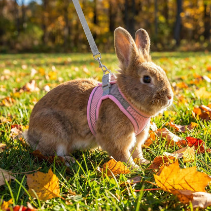 Adjustable Rabbit Harness and Leash Set, Escape Proof Breathable Mesh Bunny Vest, Small Pet Harness and Leash for Bunny Kitten Ferret Puppy, Pink Gray Walking Accessories