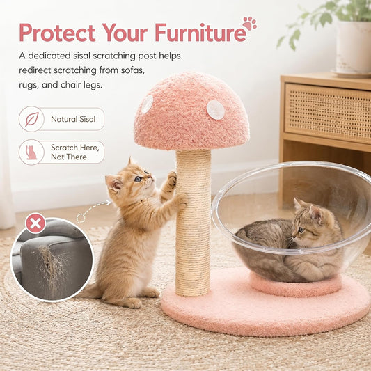 Mushroom Cat Tree for Kittens and Small Cats, 14.17" Cat Scratching Post with Clear Bowl Bed, Pink Sisal Scratcher with Pom Pom Toy, Stable Plush Base, Easy Assembly for Indoor Cats