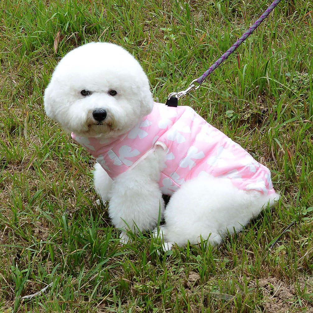 New Various Pet Cat Dog Soft Padded Vest Harness Small Dog Clothes Pink Bow S, Model: BFL049-Pink-S