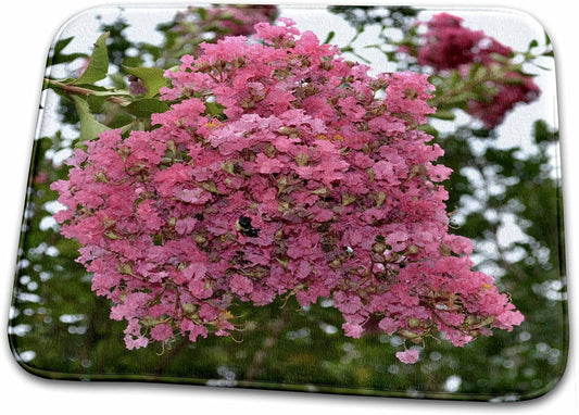 Dish Drying Mat - A bunch of light pink crepe myrtle WhiteOak Photography Floral Prints