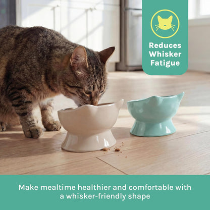 Kitty City Elevated Cat Bowls (Set of 2), Whisker-Friendly Raised Cat Food & Water Dishes, Modern Pedestal Design, Dishwasher Safe, 6.5 oz Each – Pink & Teal