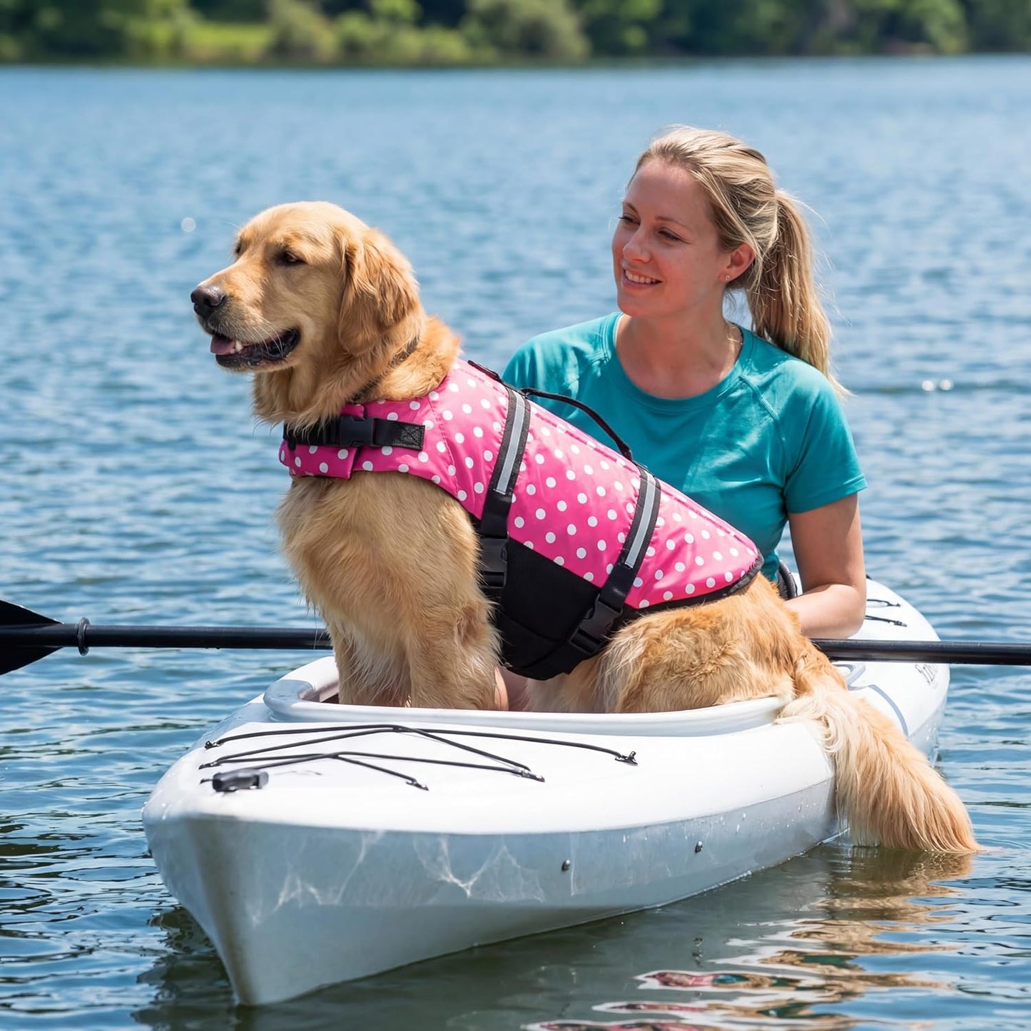 Doglay Dog Life Jacket with Rescue Handle, Dog Life Vest for Swimming Boating, Adjustable Reflective Puppy Swim Vest with Superior Buoyancy for Small Medium Large Dogs