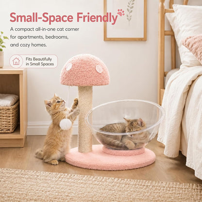 Mushroom Cat Tree for Kittens and Small Cats, 14.17" Cat Scratching Post with Clear Bowl Bed, Pink Sisal Scratcher with Pom Pom Toy, Stable Plush Base, Easy Assembly for Indoor Cats