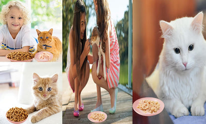 Cat Food Bowl Set, Cat Bowls Shallow Cat Food Dish Wet Food Flat Whisker Fatigue-Free, Bowls Cat Dishes Plastic & Cute Pet Bowl Dishes for Pet Cats, Dogs, and Small Animals
