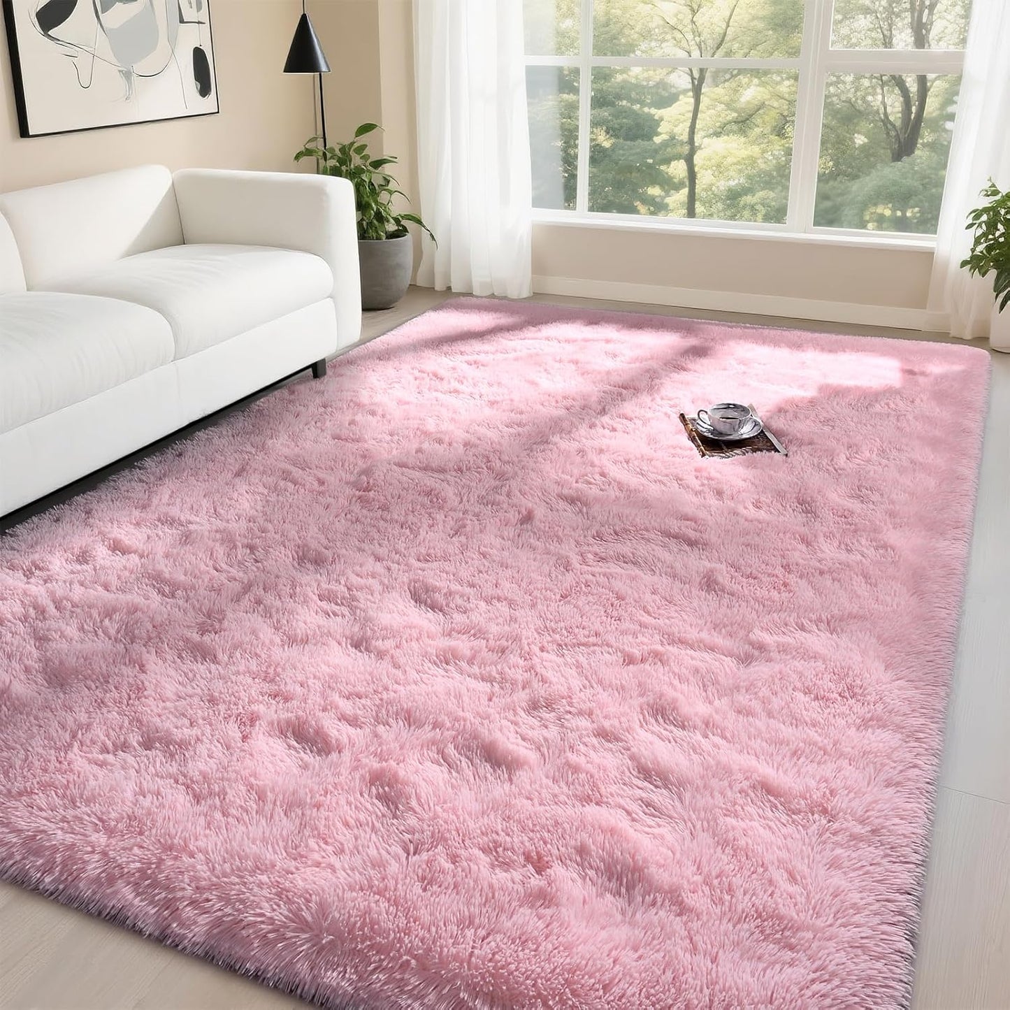 DweIke Fluffy Blush Pink Rugs for Bedroom Living Room, 3x5 Feet Soft Plush Shaggy Rose Coral Pinkish Girls Kids Rug, Non-Slip and Machine Washable Carpet for Dorm Nursery Classroom Decor