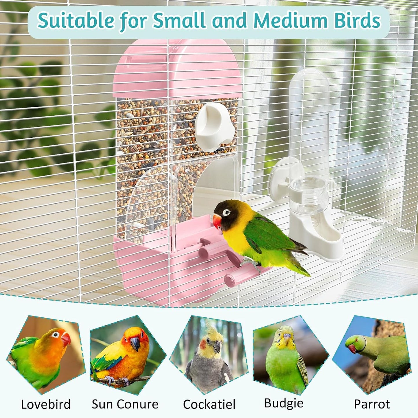 Tfwadmx No Mess Automatic Bird Feeder for Cage Transparent Food Container Parrot Water Dispenser Cage Accessories for Cockatiels, Finches, Budgies Canaries (Pink)