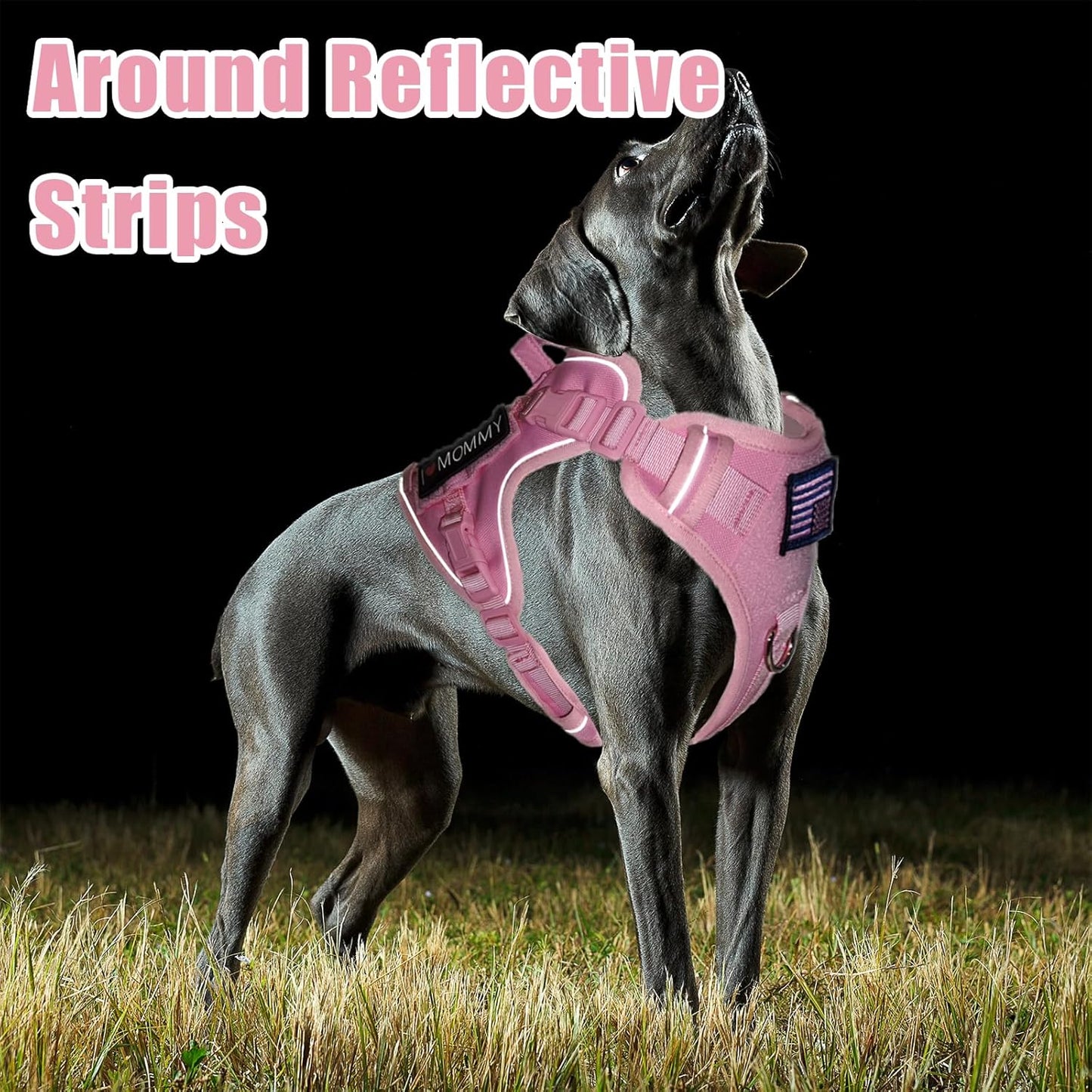 BUMBIN Tactical Dog Harness with Laesh Set，No-Pull Service Fit Smart Dog Vest with Hook & Loop Panels,Adjustable Dog Vest Harness with Handle Pink M