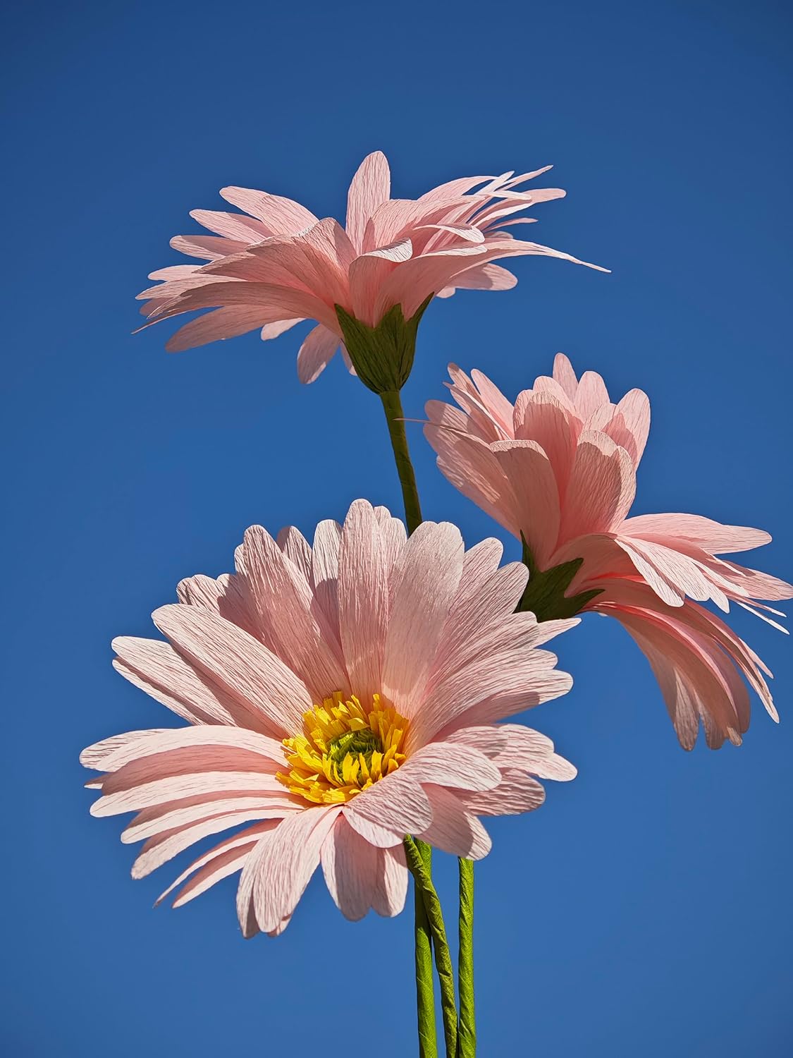 Pink Daisy for Home Decor Events DIY Crepe Paper Flower Bouquet Making Kit Complete Craft Materials for Floral Art 12 Qty