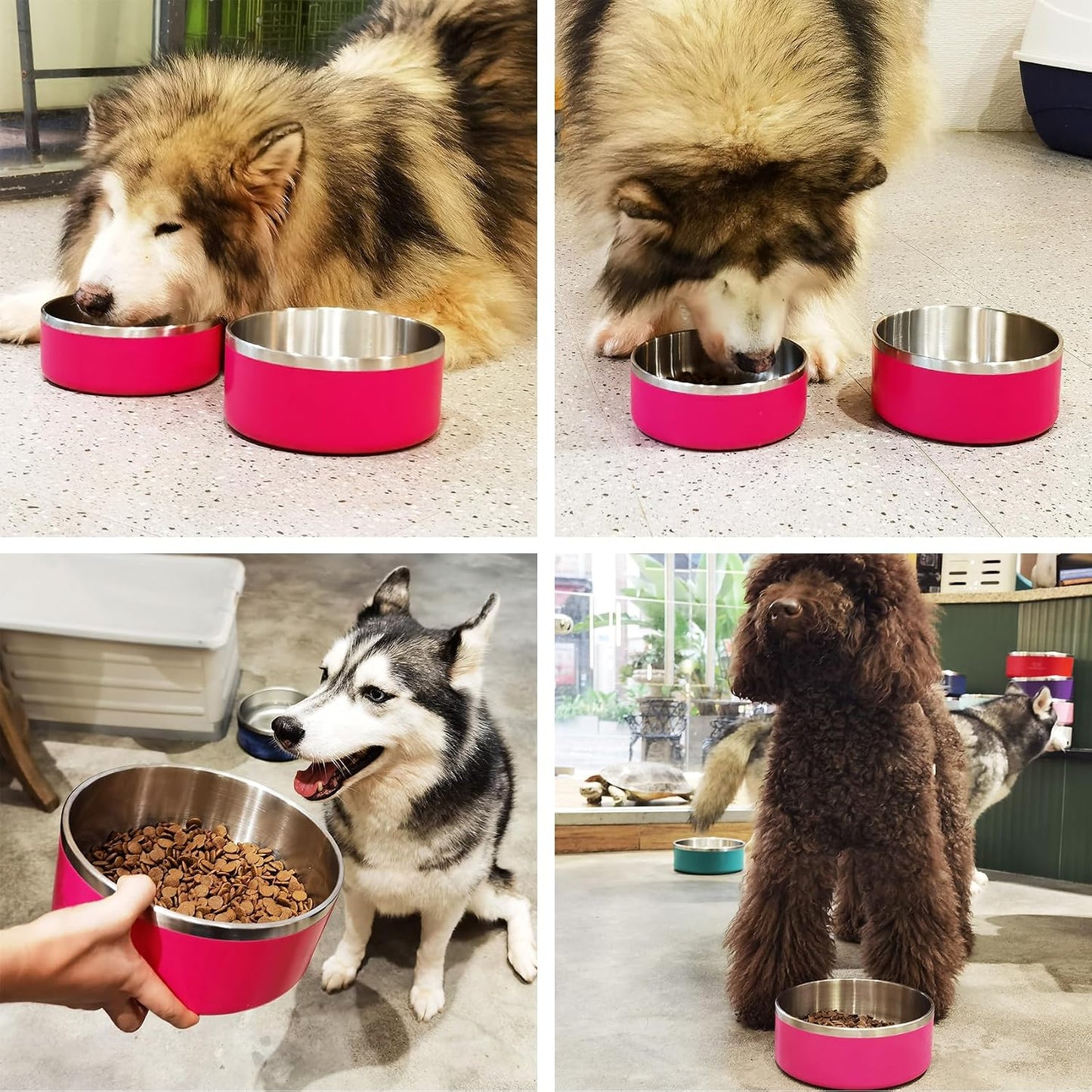 LIHONG Stainless Steel Dog Bowls for Small Medium Sized Dogs Non Slip,Insulated Dog Bowl,Pet Bowl for Food and Water,Rustproof(40oz,Pitaya Pink)