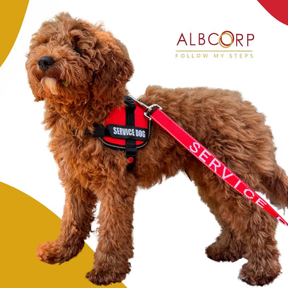 ALBCORP Service Dog Vest Harness – Reflective Service Animal Vest, No-Pull Harness with Handle & Mesh Padding – Sizes XXS-XL for Puppies – 2 Removable Service Patches Included (Extra Small, Pink)