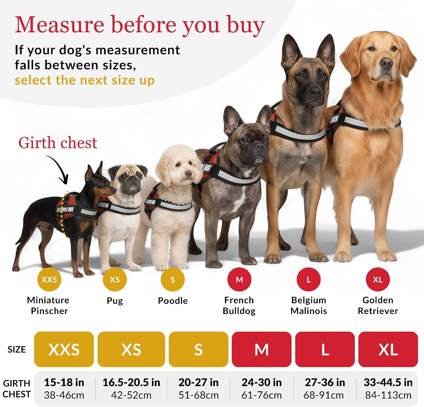 ALBCORP Service Dog Vest Harness – Reflective Service Animal Vest, No-Pull Harness with Handle & Mesh Padding – Sizes XXS-XL for Puppies – 2 Removable Service Patches Included (Extra Small, Pink)