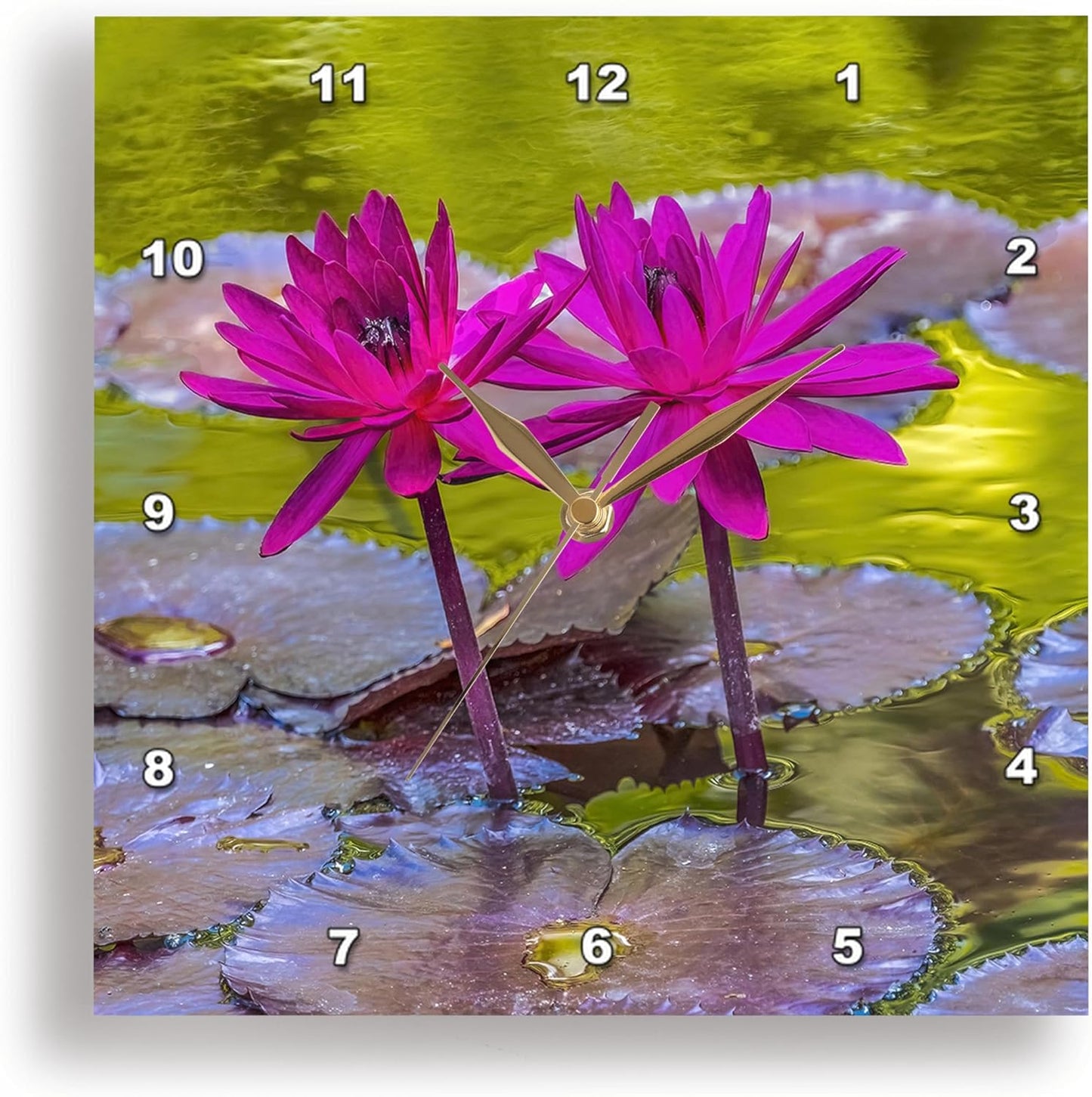3dRose, Pink Nymphaea, Botanic Garden, Coral Gables, Florida., 10x10 Wall Clock