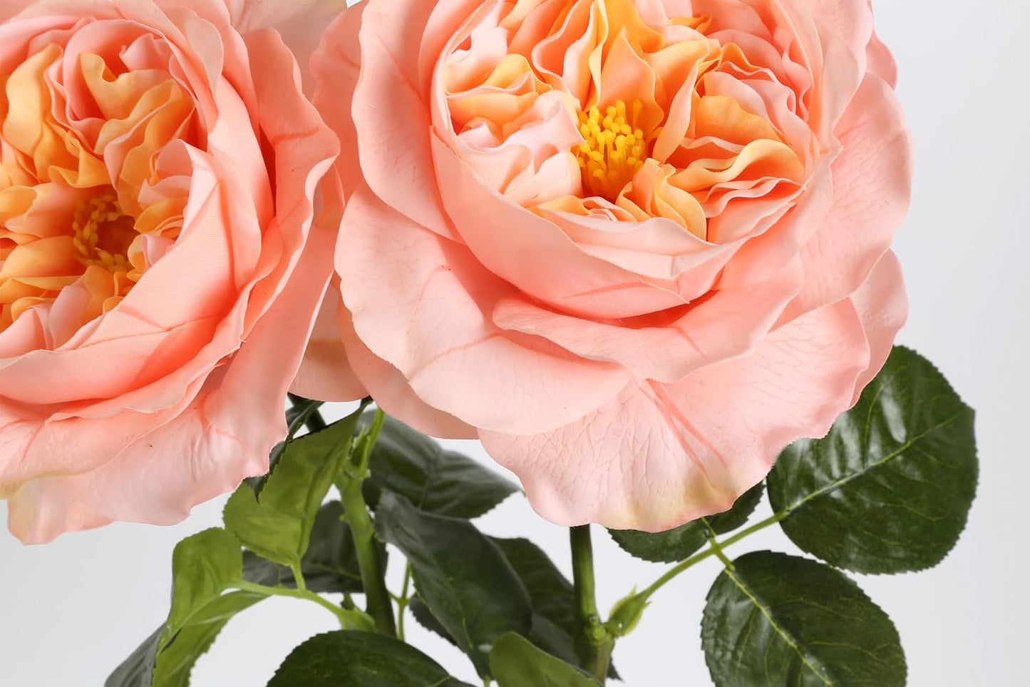 2Pcs Fake Austin Rose Peonies Flowers Real Touch Peach Roses with Stems 25.60'' Latex Peony Artificial Flowers for Home Decor Flower Arrangement Wedding Centerpieces Valentine's Day (Peach)