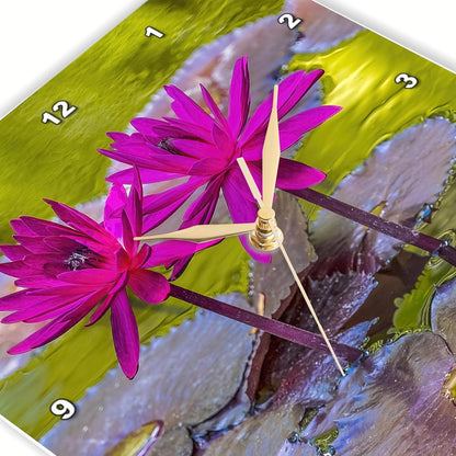 3dRose, Pink Nymphaea, Botanic Garden, Coral Gables, Florida., 10x10 Wall Clock