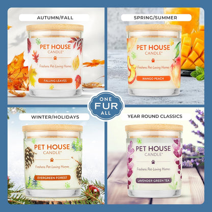 Pet House Plant-Based Pet Odor Candles, Clean Burning, Long Lasting Candle, 60 Hour Burn Time with a Natural Fiber Wick - Mango Peach