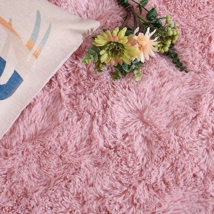 DweIke Fluffy Blush Pink Rugs for Bedroom Living Room, 3x5 Feet Soft Plush Shaggy Rose Coral Pinkish Girls Kids Rug, Non-Slip and Machine Washable Carpet for Dorm Nursery Classroom Decor