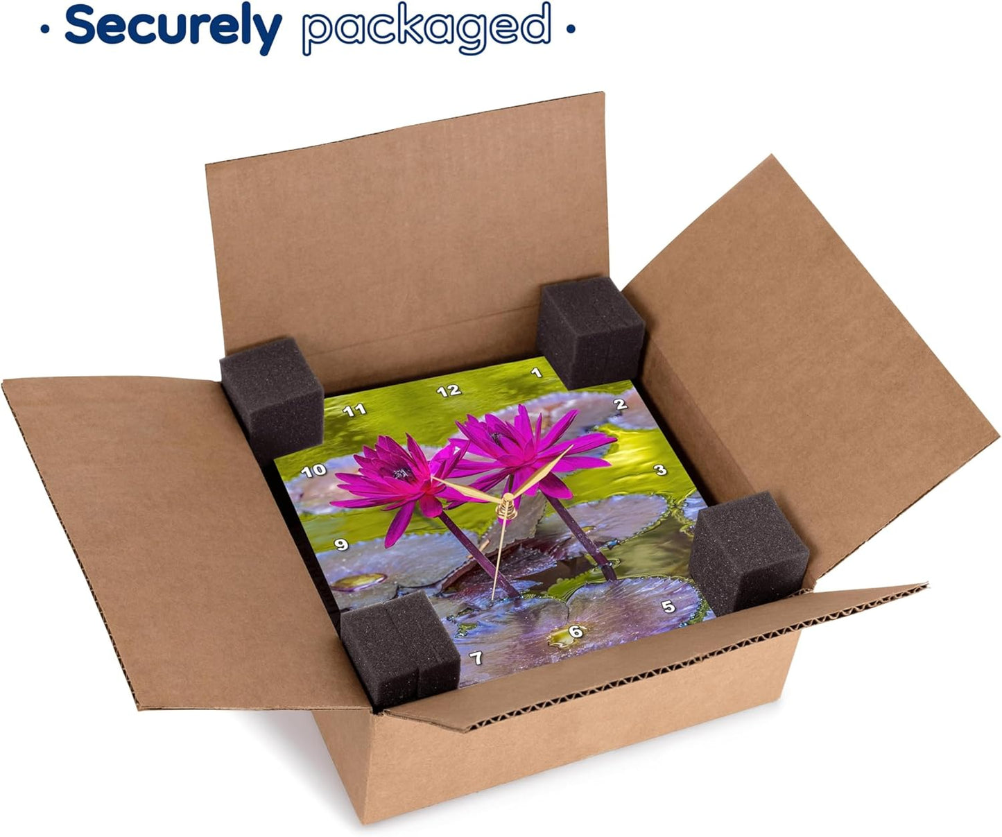 3dRose, Pink Nymphaea, Botanic Garden, Coral Gables, Florida., 10x10 Wall Clock