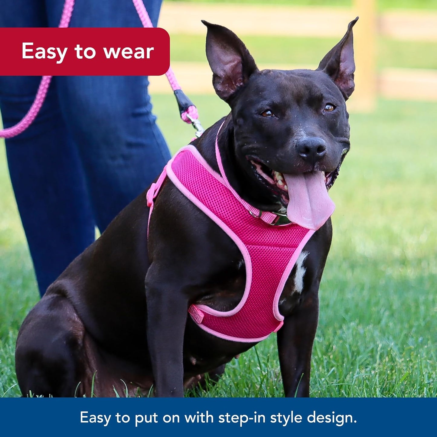 Coastal Pet Comfort Soft Wrap Adjustable Dog Harness - Comfortable Harness for Dog - Adjustable Fit - Easy Step-in Design - Breathable Fabric Mesh - Pink Bright, 3/8" x 11"-13"