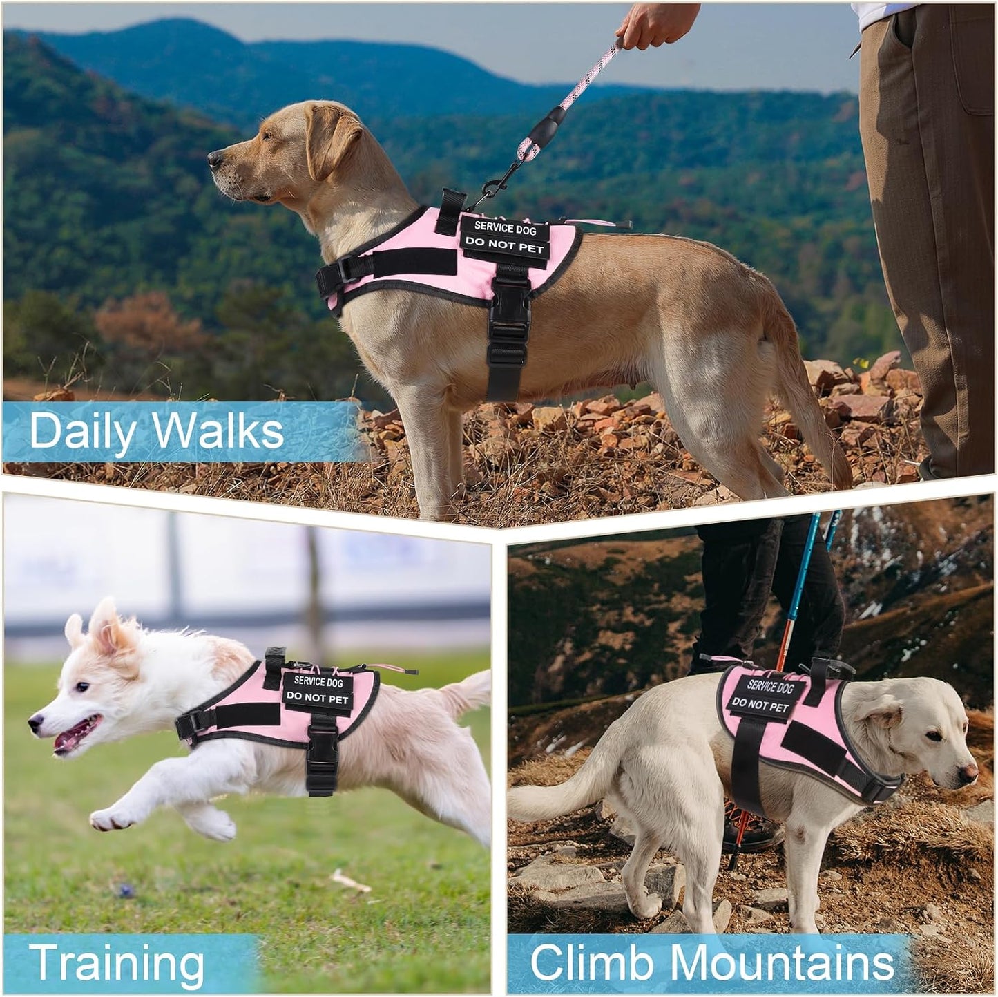 No Pull Dog Harness Small Medium Sized Dog, Service Dog Harness and Leash Set with 4 Patches, Adjustable Easy Walk Dogs Harnesses with Handle, Dogs Vest Harnesses French Bulldog, Chihuahua(Pink, S)